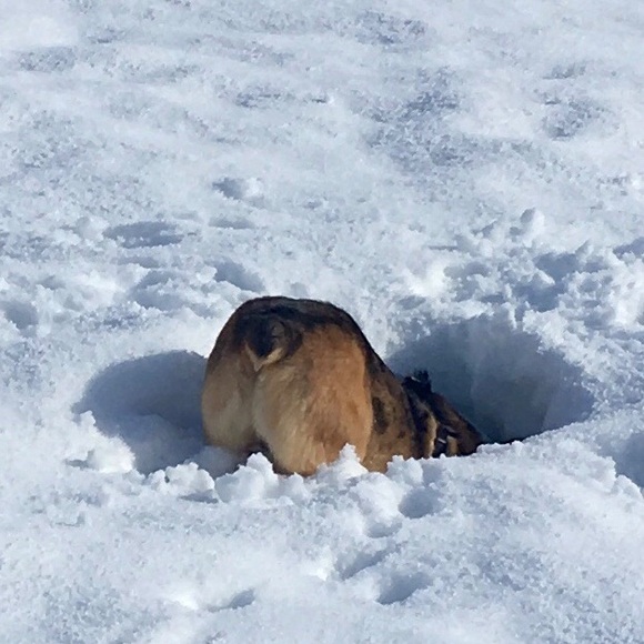 Meet your Posher, T - Picture 5 of 6